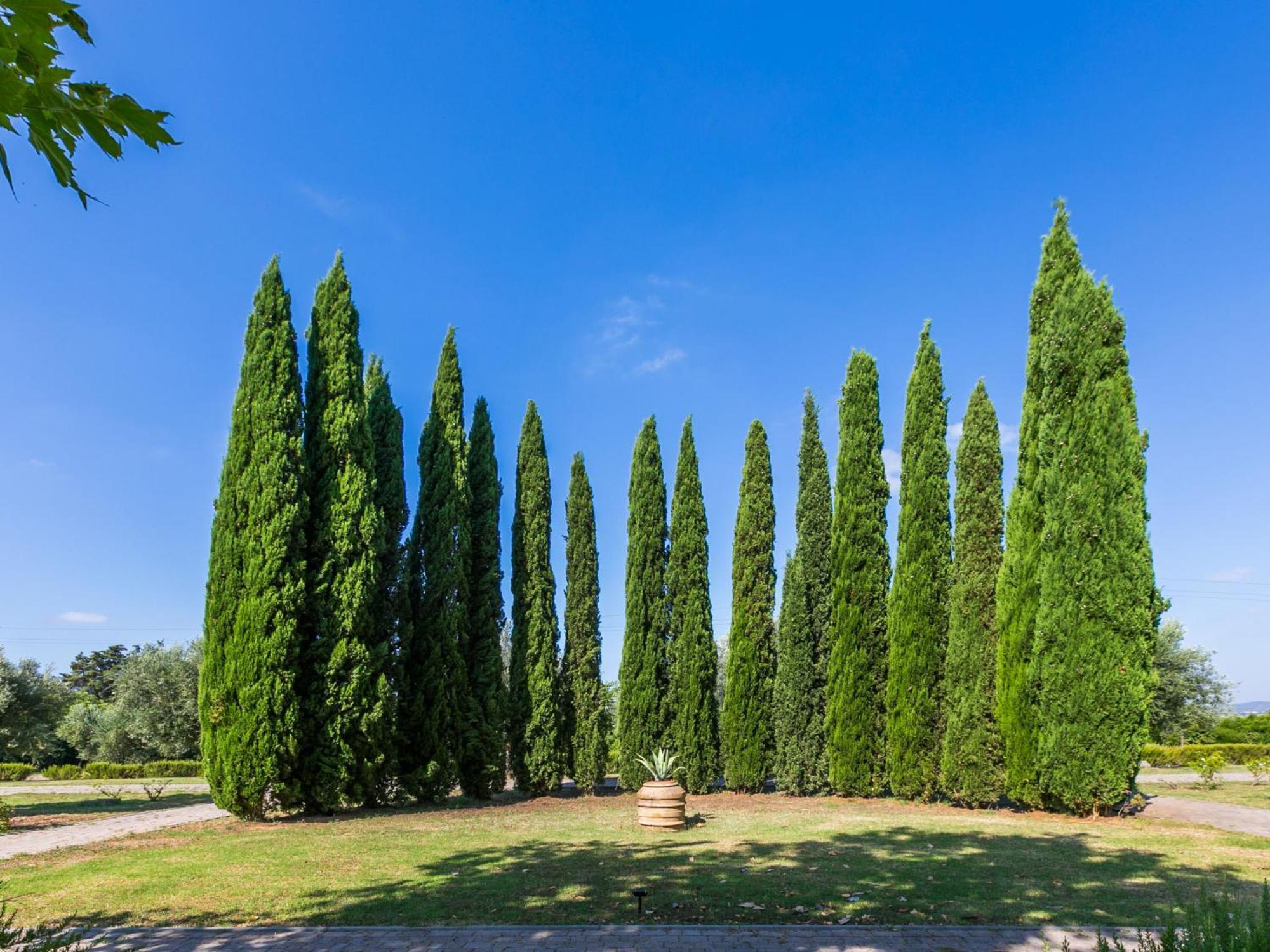 Apartment Quercia Alta By Interhome Le Case Esterno foto